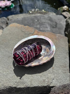 Abalone Muschel - groß